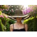 Wide Brim Striped Toyo Straw - Brown/ Natural - HT-8218BN-NT